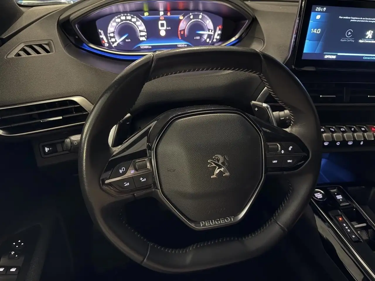 Peugeot 3008 3008 — photo 15
