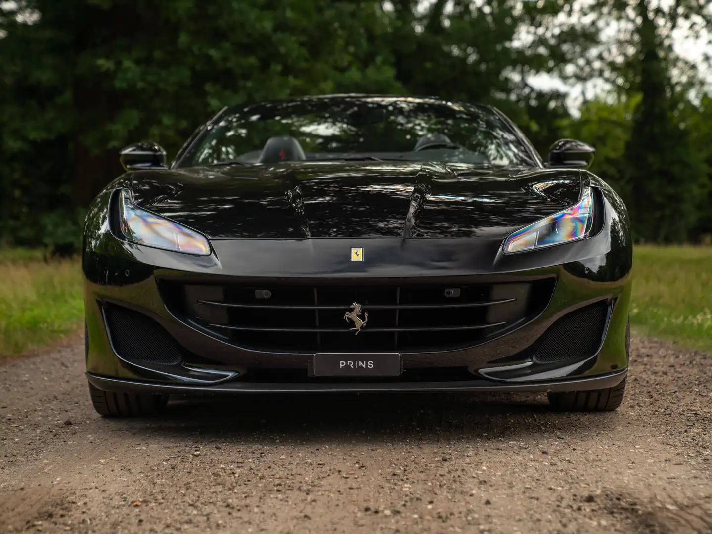 Ferrari Portofino 3.9 V8 HELE | Carbon Driver Zone Zwart - 2