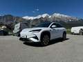 BYD Sealion 7 Excellence Ö-Paket 91.5 kWh AWD Weiß - thumbnail 2