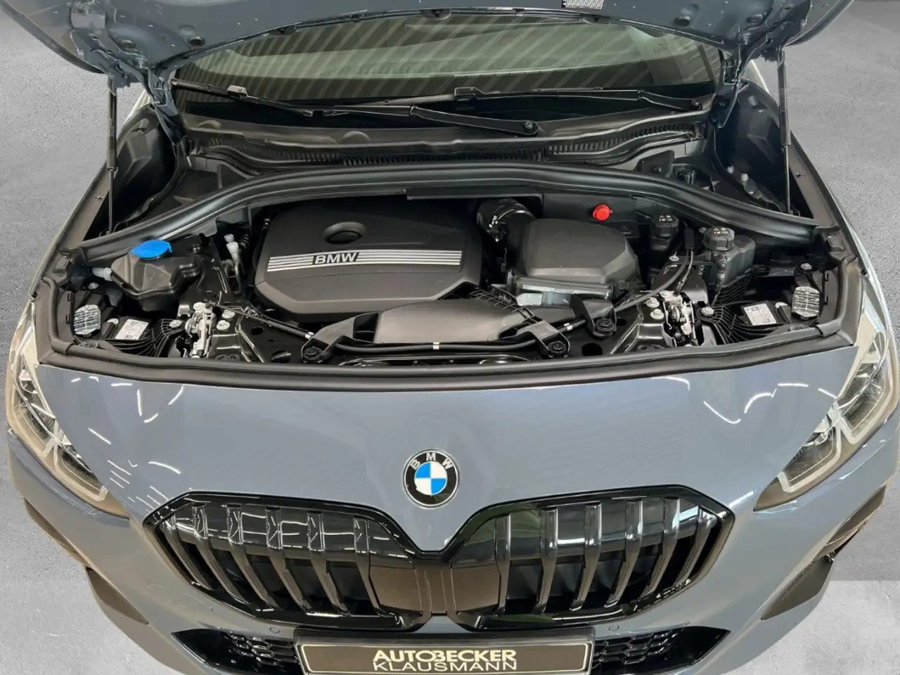 BMW 220 Active Tourer i M Sport LMR 17'' AD AHK-klappbar E 14