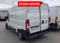 Fiat Ducato 2.2mjt 140cv L2H2 FURGONE Anno 2021 Bianco - thumbnail 4