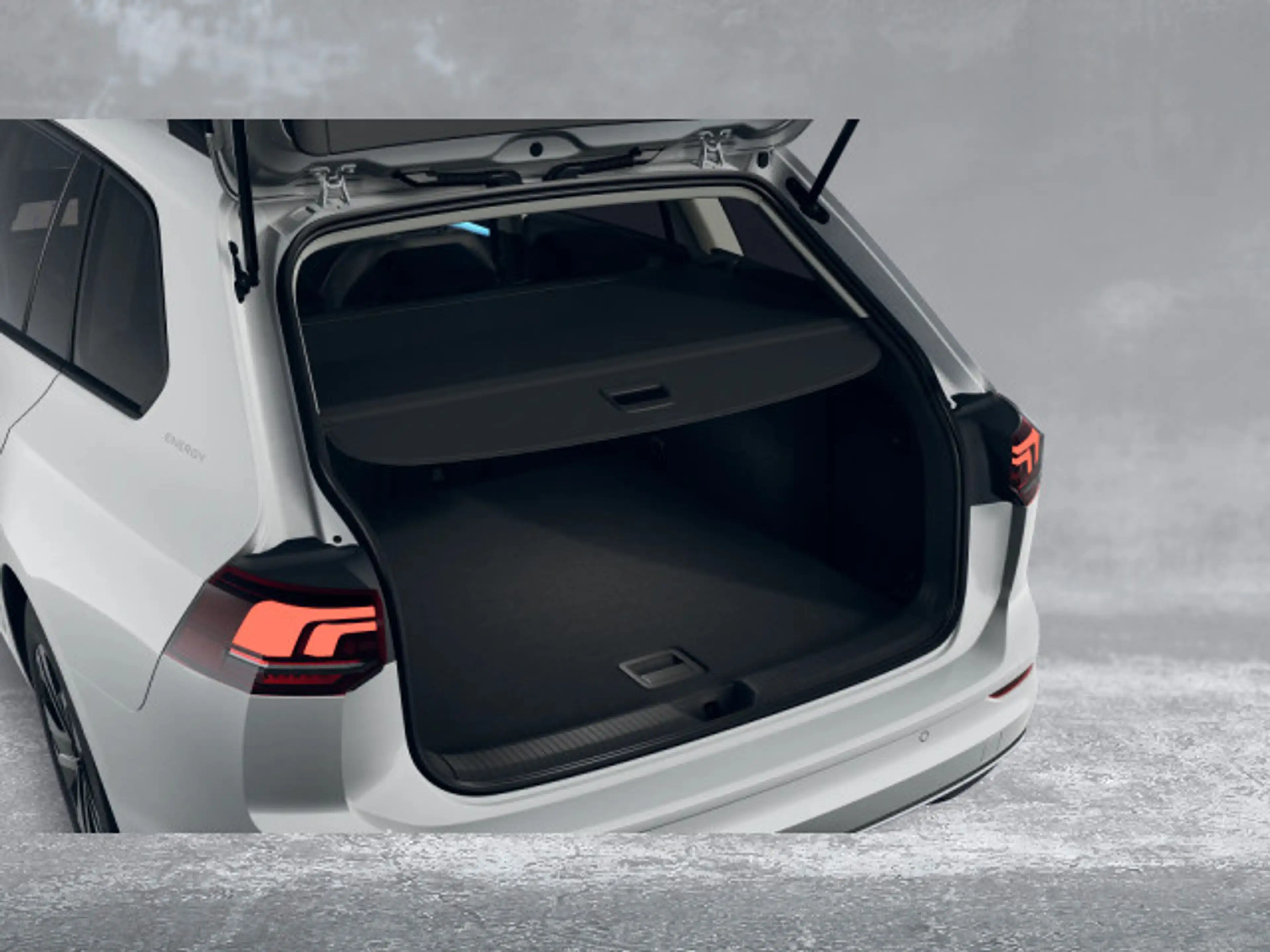 Volkswagen Golf Variant Golf VIII Variant 1.5 TSI ENERGY 5JG+NAV+ACC+360 — photo 8