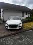Hyundai i30 2.0 T-GDI N Performance - thumbnail 2