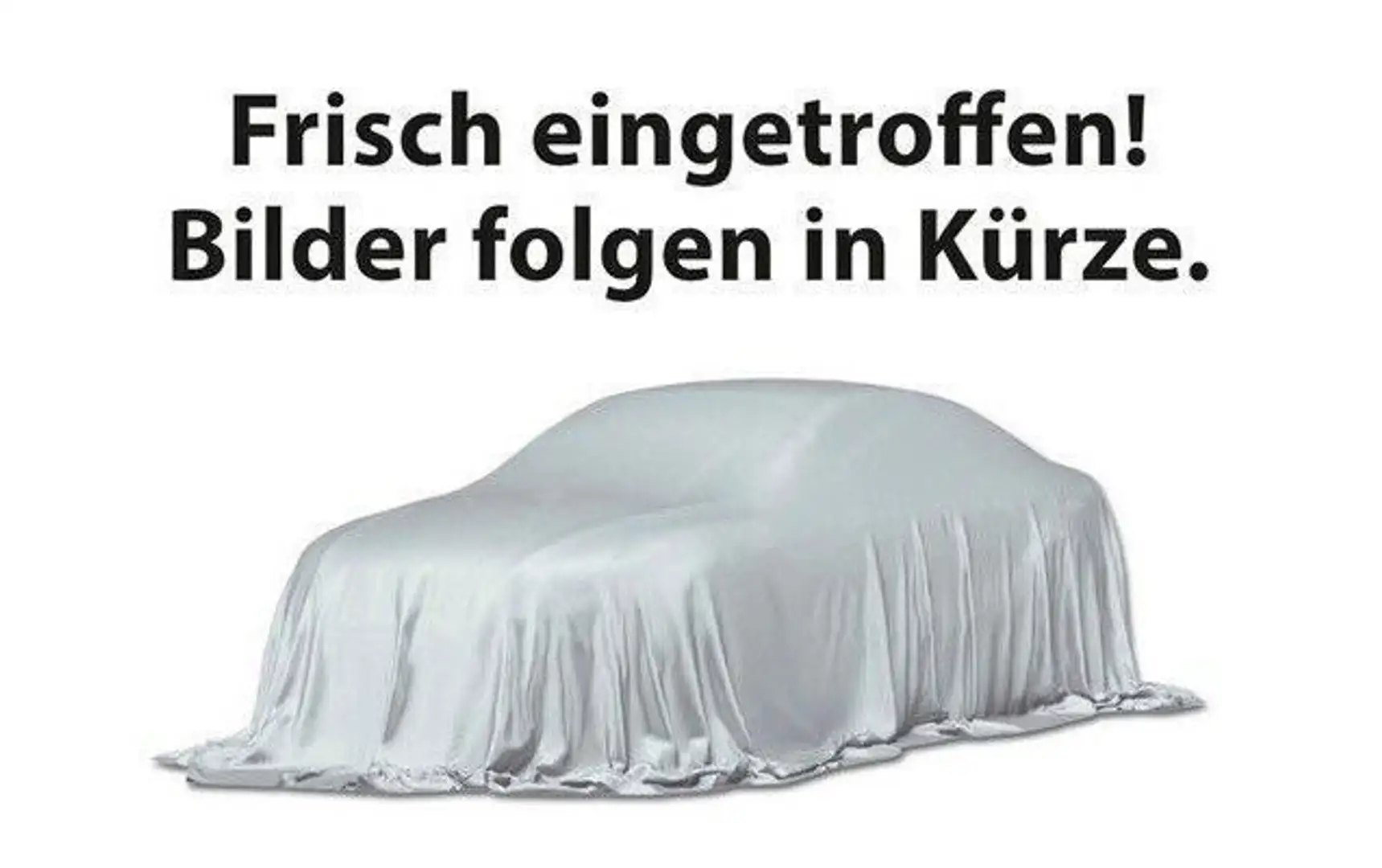 Skoda Octavia Combi Style Grau - 1