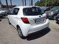 Toyota Yaris Yaris III 2017 5p 1.5h Business Bianco - thumbnail 9