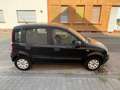 Fiat Panda Panda 1.2 Dynamic Schwarz - thumbnail 3