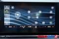 Skoda Octavia WAGON 2.0 TDI 116 CV EXECUTIVE Grigio - thumbnail 14