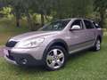 Skoda Octavia Octavia Combi 2,0 Scout TDI CR DPF 4x4 Scout Gold - thumbnail 2