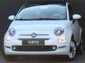 Fiat 500 500 1.2 8V Lounge ///Pano Dak - thumbnail 22