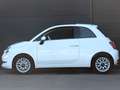 Fiat 500 500 1.2 8V Lounge ///Pano Dak - thumbnail 1
