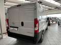 Fiat Ducato 30 2.2 BlueHDi 120 PC Cruise- 4 Season-Sensori Bianco - thumbnail 6