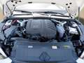 Audi A5 Sportback 40 TFSI S line PANO AHK STHZ Navi+VC ... Weiß - thumbnail 13