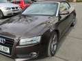 Audi A5 A5 Cabrio 3.0 TDI DPF quattro S tronic Brun - thumbnail 2
