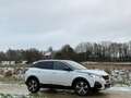 Peugeot 3008 3008 1.6 BlueHDi JANTES-LED-PANORAMA-AUTOM-GARANTI Blanc - thumbnail 8