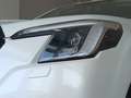Subaru Forester 2.0ie MHEV Executive Plus Blanco - thumbnail 21
