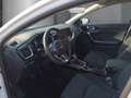 Kia Ceed SW / cee'd SW Ultimate Edition 1.5T Mild-Hybrid DCT Style-Paket Blanc - thumbnail 7