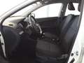 Kia Picanto 1.0 12V EcoGPL 5 porte Glam Collection Bianco - thumbnail 5