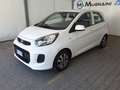 Kia Picanto 1.0 12V EcoGPL 5 porte Glam Collection Bianco - thumbnail 3