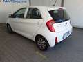 Kia Picanto 1.0 12V EcoGPL 5 porte Glam Collection Bianco - thumbnail 11