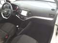 Kia Picanto 1.0 12V EcoGPL 5 porte Glam Collection Bianco - thumbnail 10