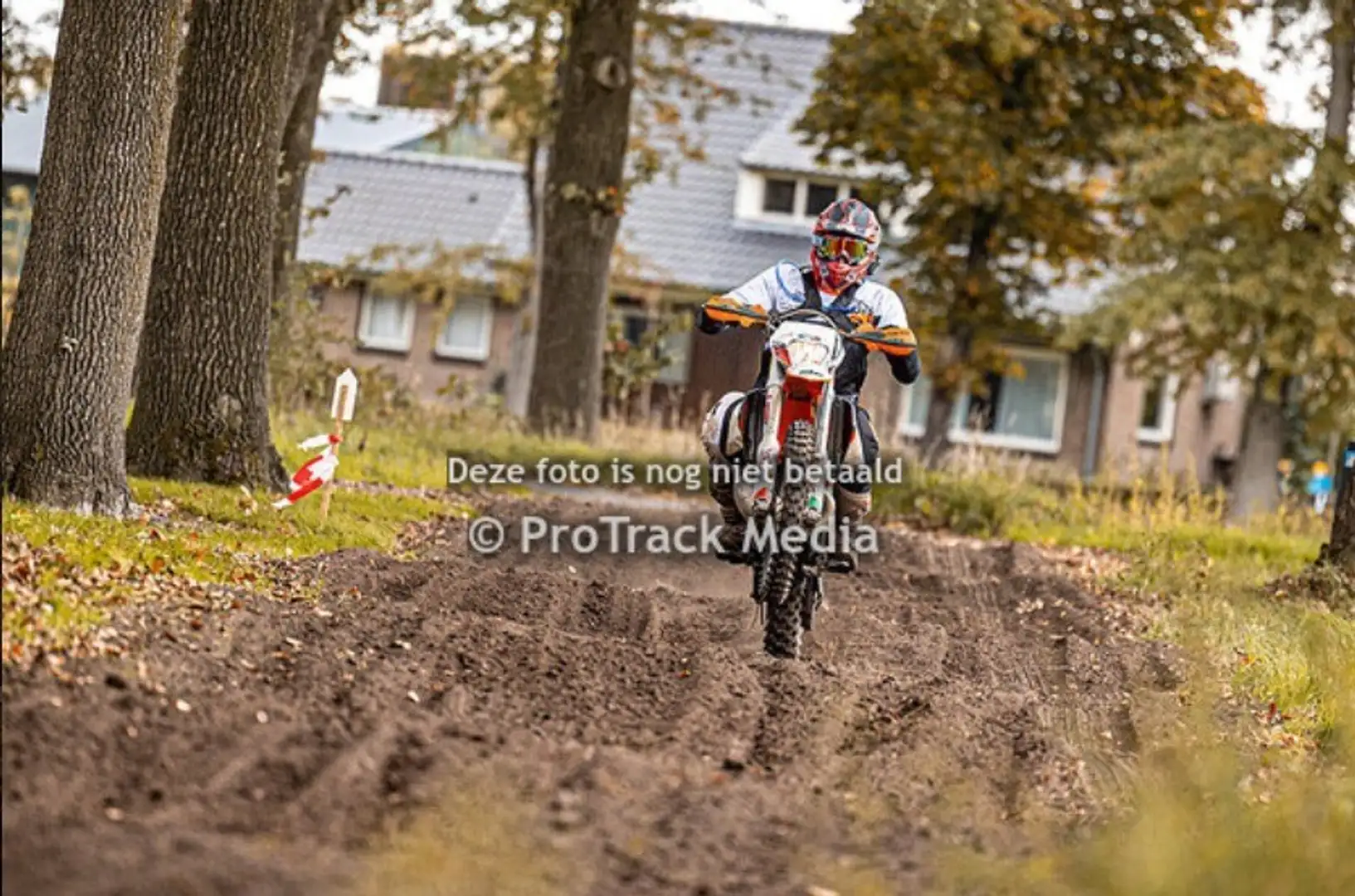 KTM 300 EXC Naranja - 2