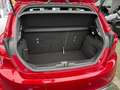 Ford Fiesta Active Plus Navi Soundsystem B & O Apple CarPlay A Rosso - thumbnail 12