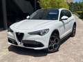Alfa Romeo Stelvio 2.0 Gasolina 206kW (280CV) Executive AWD Blanco - thumbnail 1