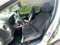 Nissan NP300 NAVARA 2.3 DCI 160 DOUBLE CAB OPTIMA Weiß - thumbnail 13