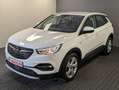 Opel Grandland Innovation+Kam+Navi+Keyless+Teil-Leder Weiß - thumbnail 1