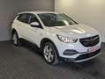 Opel Grandland Innovation+Kam+Navi+Keyless+Teil-Leder Weiß - thumbnail 3