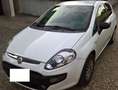 Fiat Punto Evo Punto Evo 3p 1.3 mjt Active 75cv White - thumbnail 6