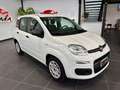 Fiat Panda 1.2 Easy Bianco - thumbnail 3