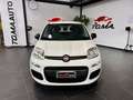 Fiat Panda 1.2 Easy Bianco - thumbnail 2
