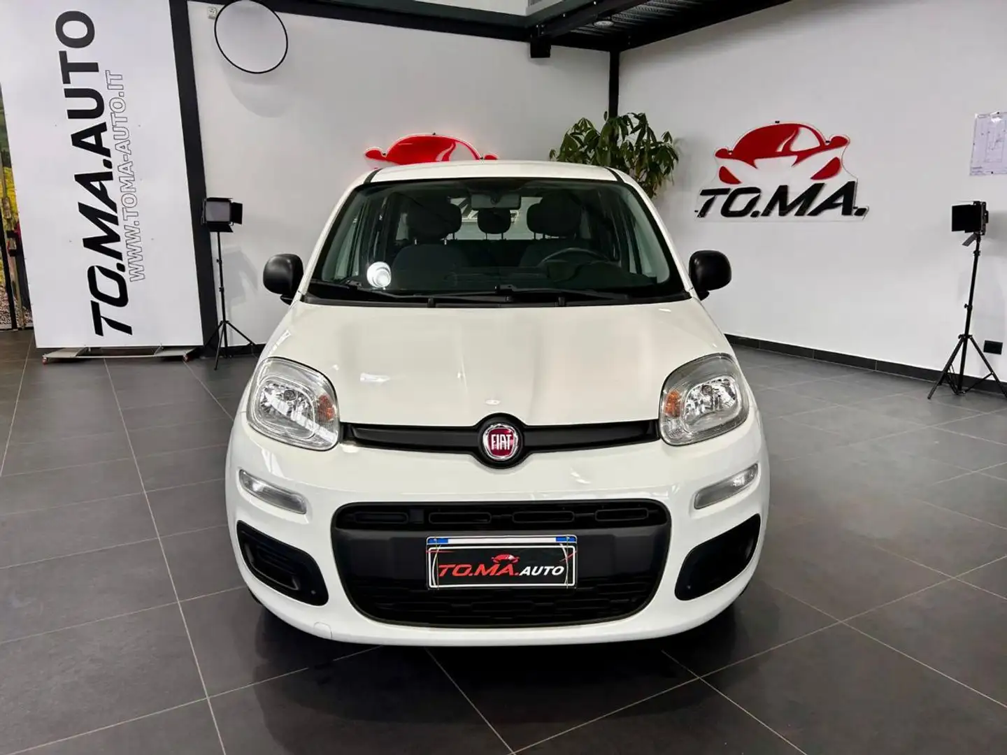 Fiat Panda 1.2 Easy Bianco - 2