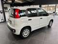 Fiat Panda 1.2 Easy Bianco - thumbnail 5