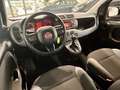 Fiat Panda 1.2 Easy Bianco - thumbnail 10