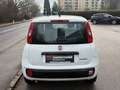 Fiat Sonstige Pandina FireFly Hybrid 70 Pop Weiß - thumbnail 5