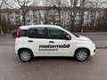 Fiat Sonstige Pandina FireFly Hybrid 70 Pop Weiß - thumbnail 3