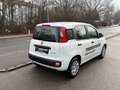 Fiat Sonstige Pandina FireFly Hybrid 70 Pop Weiß - thumbnail 4