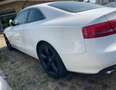 Audi A5 A5 Coupe 2.7 V6 tdi Ambition fap - thumbnail 9