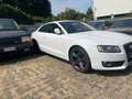 Audi A5 A5 Coupe 2.7 V6 tdi Ambition fap - thumbnail 3