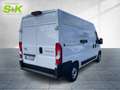 Toyota Proace Max 2.2D Meister L2H2 3.5t* KAMERA+LED+DAB+KLIMA*** Weiß - thumbnail 4