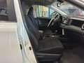 Toyota RAV 4 150D Executive AWD AutoDrive Bianco - thumbnail 12