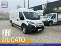 Fiat Ducato KASTENWAGEN MAXI 35 L4H2 180 AT Белый - thumbnail 1