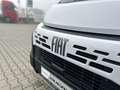 Fiat Ducato KASTENWAGEN MAXI 35 L4H2 180 AT Белый - thumbnail 15