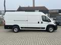 Fiat Ducato KASTENWAGEN MAXI 35 L4H2 180 AT Белый - thumbnail 2