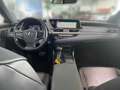 Lexus ES 300 h 2.5 Hybrid Luxury Line LED HUD Schwarz - thumbnail 14