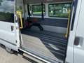 Ford Transit Trend Rollstuhlgerecht, Rampe, Systemboden Weiß - thumbnail 7