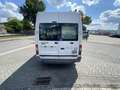 Ford Transit Trend Rollstuhlgerecht, Rampe, Systemboden Weiß - thumbnail 14