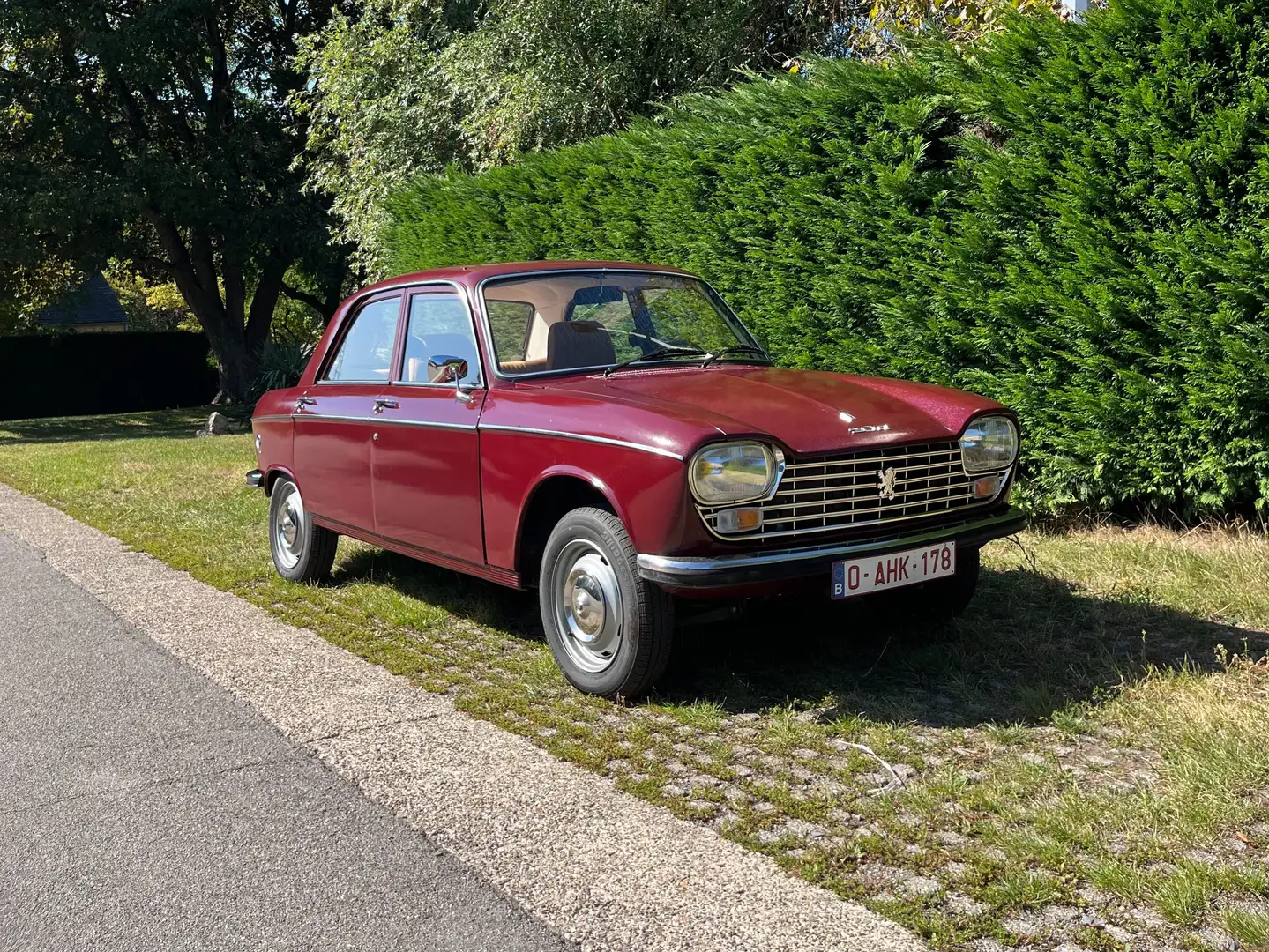 Peugeot 204 Rot - 1